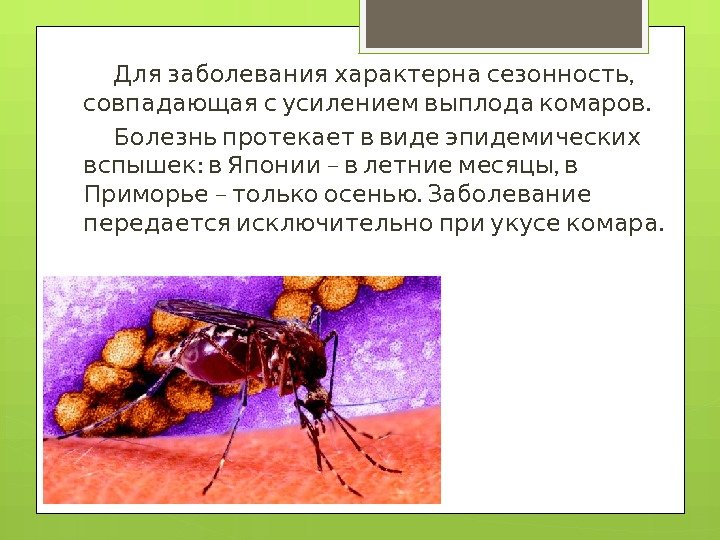  , Для заболевания характерна сезонность  . совпадающая с усилением выплода комаров 